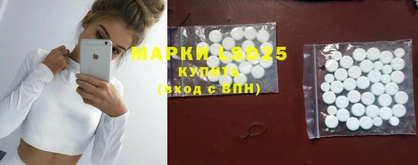 мяу мяу мука Белокуриха