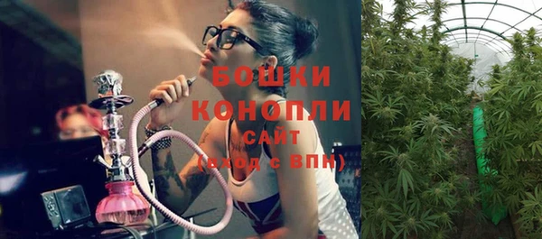 мяу мяу мука Белокуриха