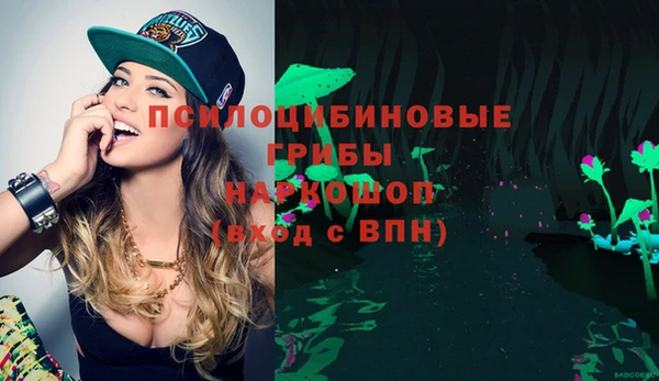 мяу мяу мука Белокуриха